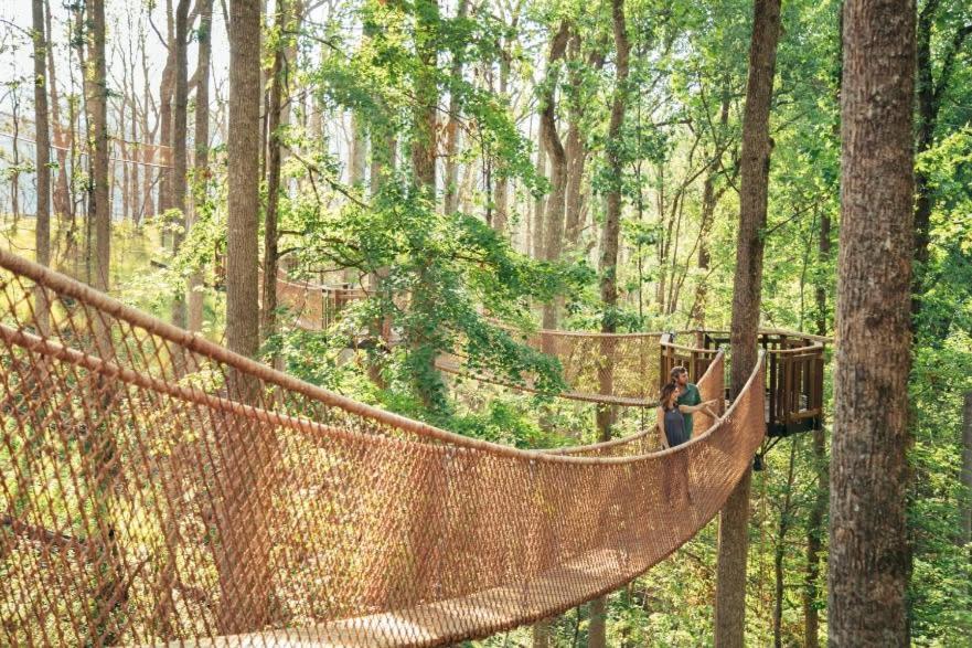 Romantic A-Frame Private Hottub Firepit Neargsmnp Севьервилл Экстерьер фото